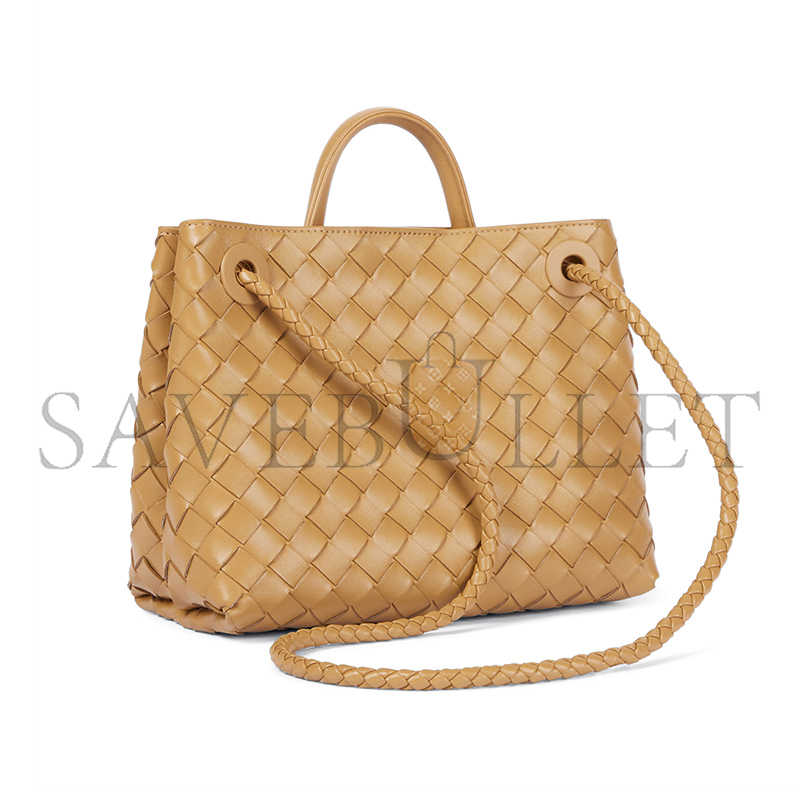 BOTTEGA VENETA SMALL ANDIAMO 743568 (25*22*10.5cm)